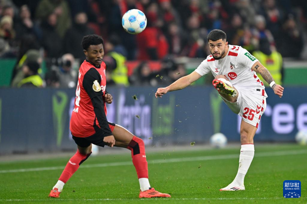 雄狮战胜对手，晋级德国杯四强