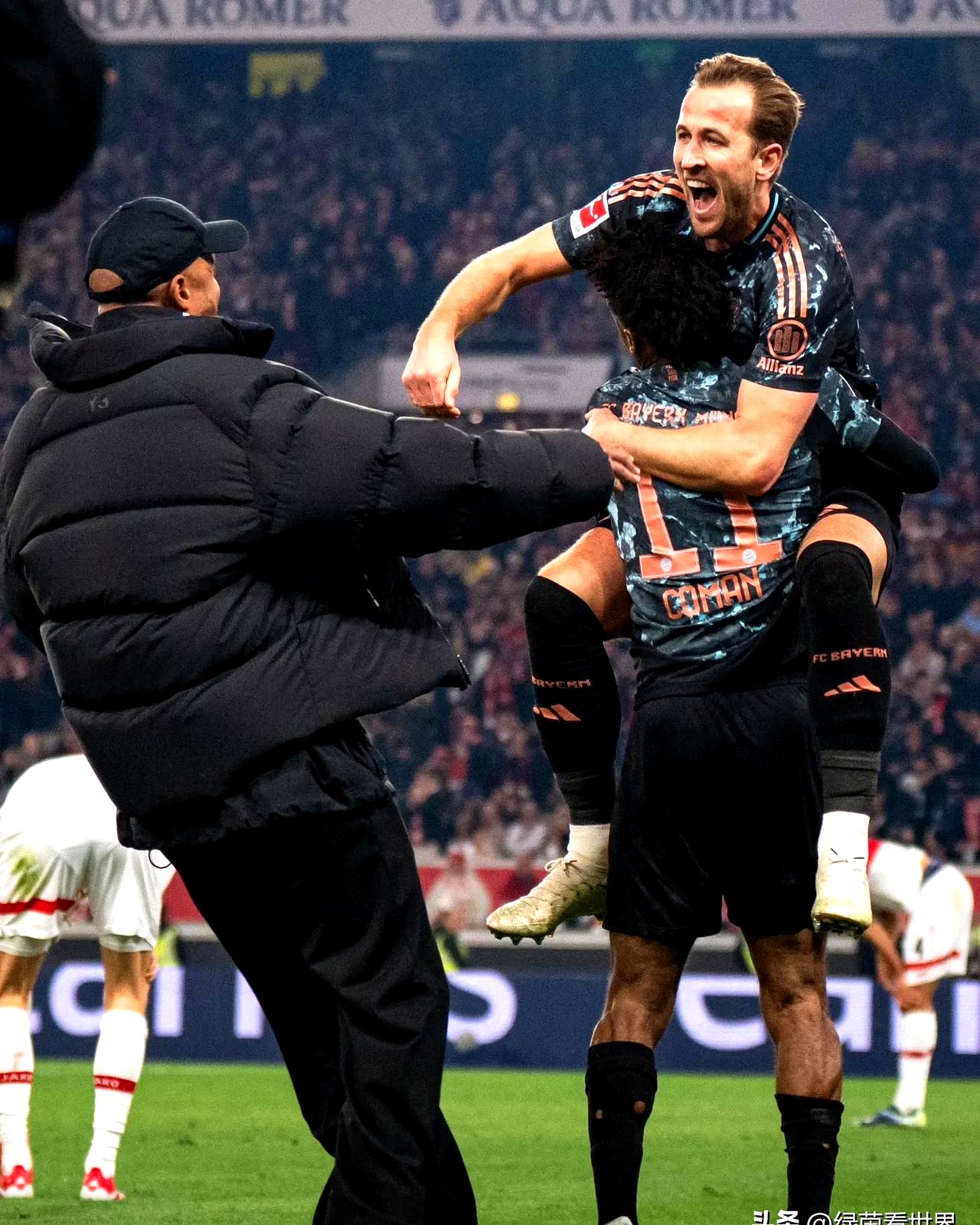 关于凯恩在美国队比赛中高光表现，精彩发挥引发热议！的信息